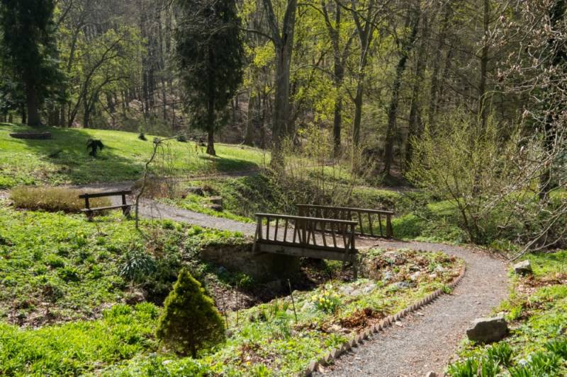 pszentlaszlo_arboretum-20180412-67 (Egyedi).jpg